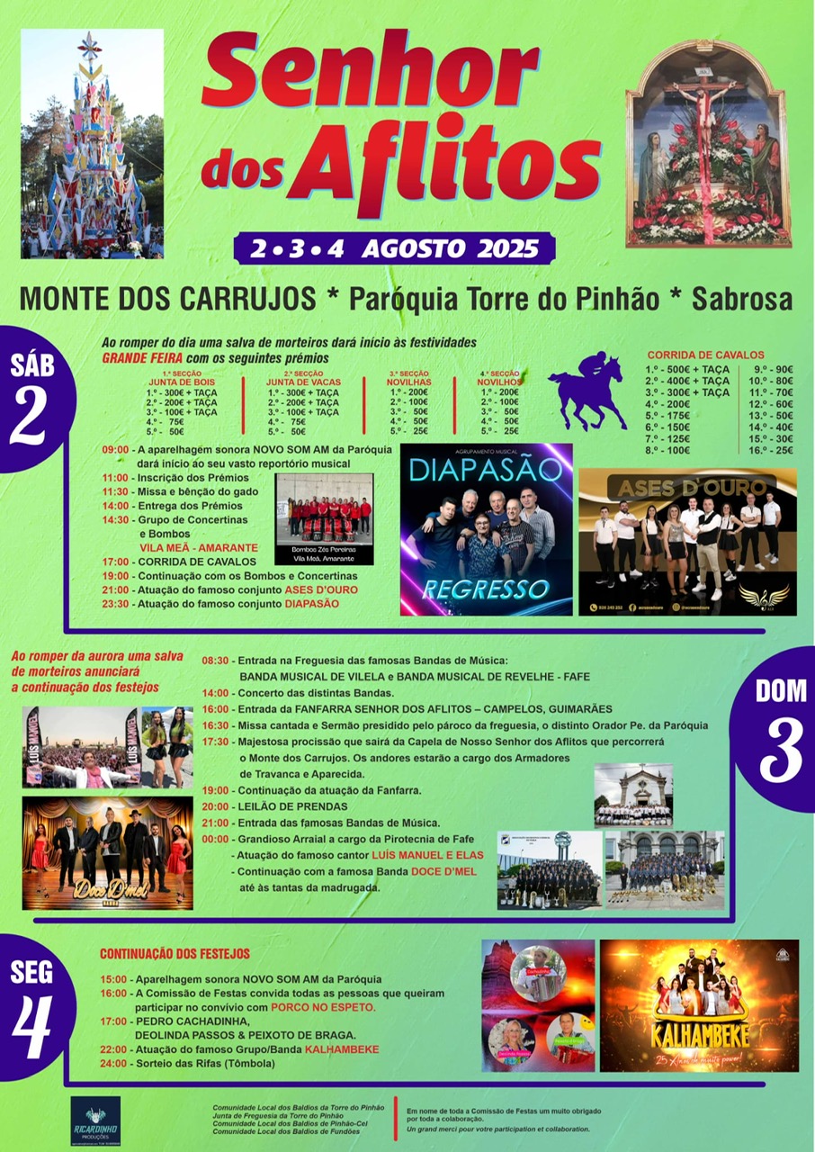 Festa em Honra do Sr. dos Aflitos - Torre do Pinhão